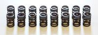 HKS STEP2/STEP3 Valve Springs (22001-AN002)