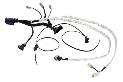 Infinity Universal V8 Accessory Wiring Harness - HALL Cam / MAG Crank