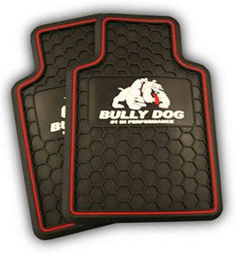 Floor Mats Set of 2 Front