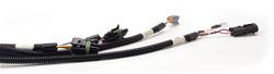 FAST XFI Main Wiring Harnesses 301100