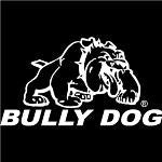 10" X 6" Bully Dog logo die cutt White