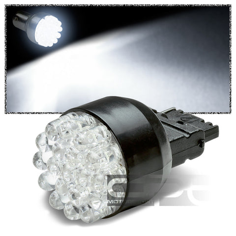 3156-19LED 5mm Round LED  WHITE