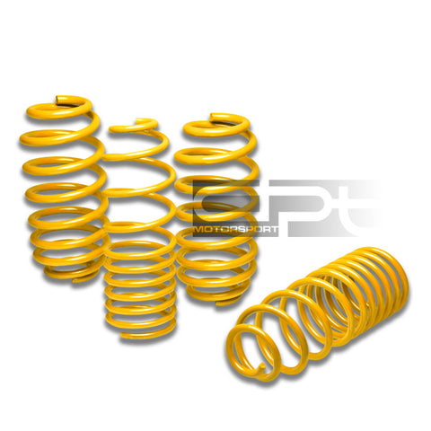 LOWERING SPRINGS -