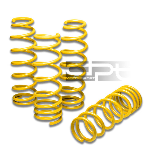 LOWERING SPRINGS -