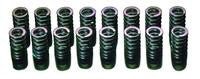 2201-RT004 Valve Springs